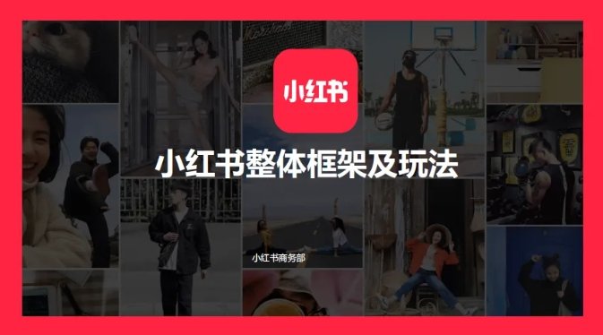 种草平台.jpg